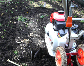 c0151898_17341575.jpg
