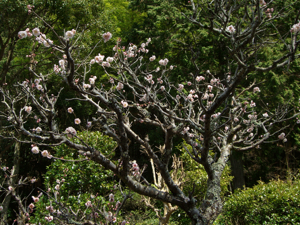 b0159611_18195487.gif
