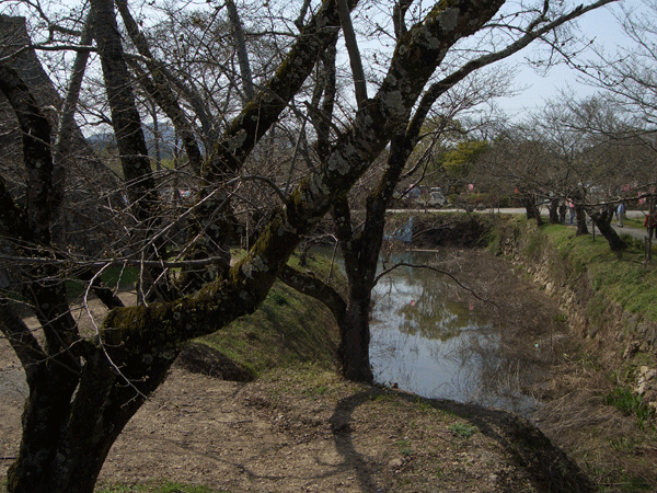 b0159611_18224496.gif