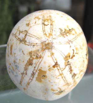 e0139012_1847061.jpg