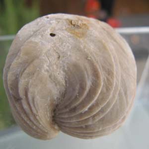 e0139012_18562081.jpg