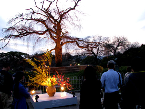 京都東山花灯路09_e0048413_23325329.jpg