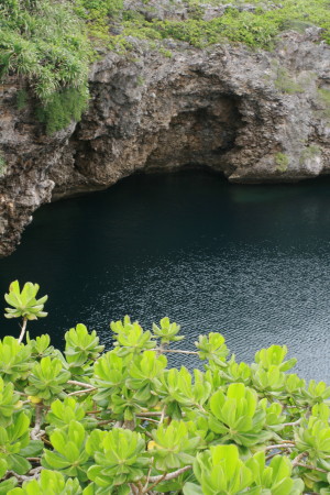 f0097620_23233778.jpg