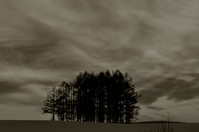 a0059621_23403944.jpg