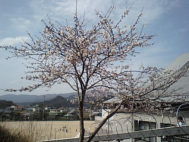 c0117028_1728654.jpg