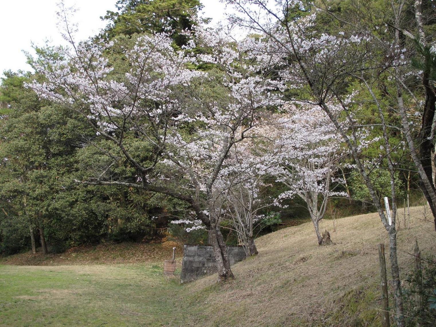 c0117028_19122818.jpg