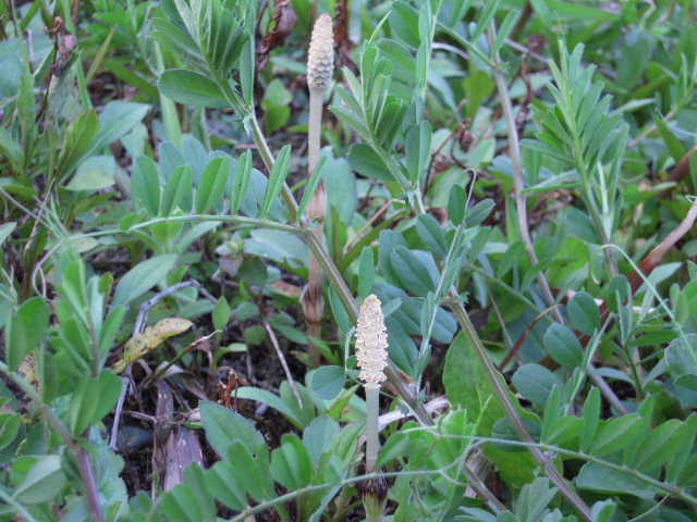 b0025633_19454328.jpg