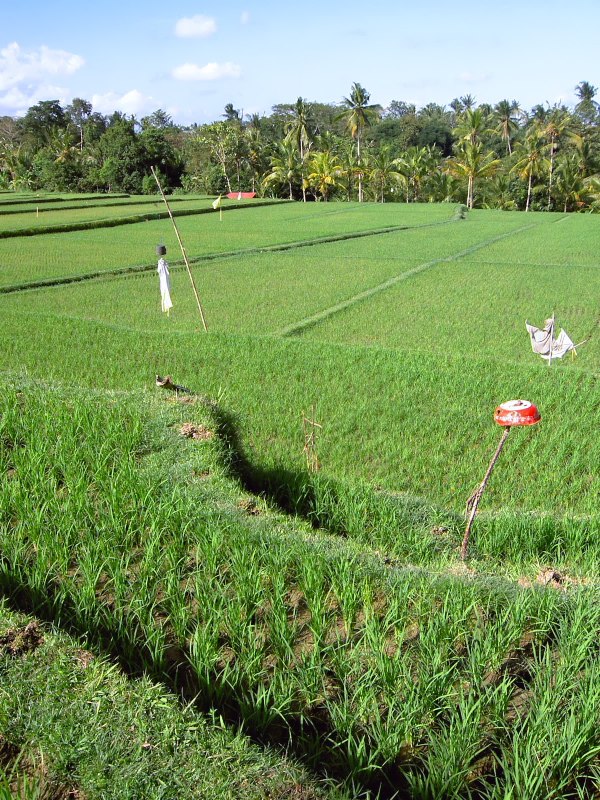 d0125535_14255995.jpg