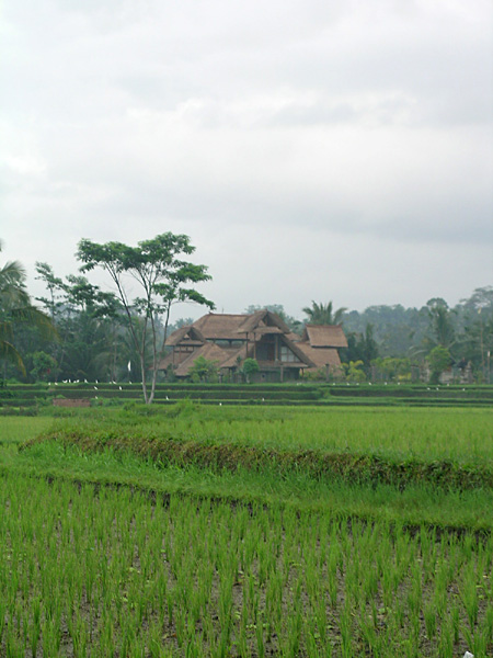 d0125535_8422520.jpg