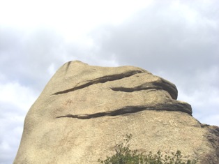 f0183039_8204259.jpg