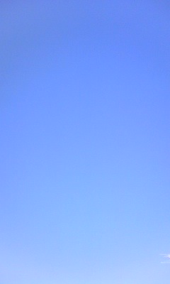 f0124642_1005425.jpg