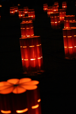a0024250_01158.jpg