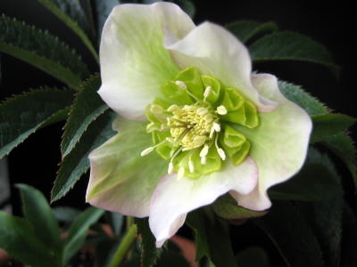 c0147952_17491258.jpg