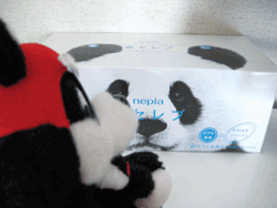 b0159557_14534280.gif