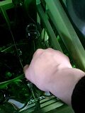 d0007957_238821.jpg