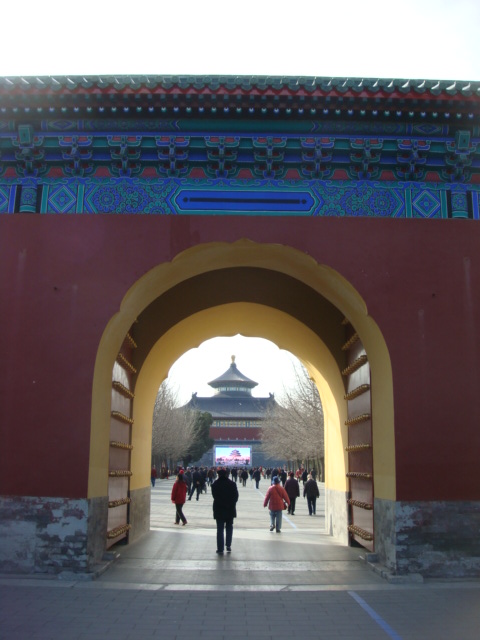 f0036857_1733110.jpg