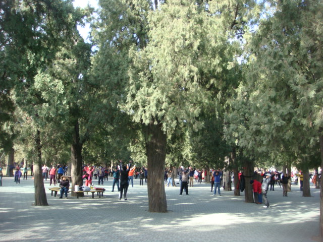 f0036857_17351091.jpg