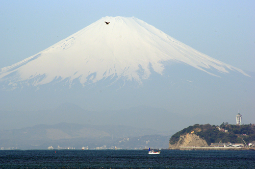 海の恵み_c0103558_1892191.jpg