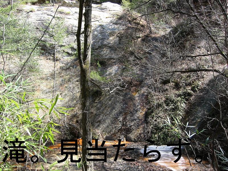 c0140260_08816.jpg