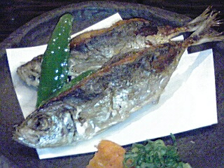 魚魚屋 ととや 梅田カッパ横丁 備忘録