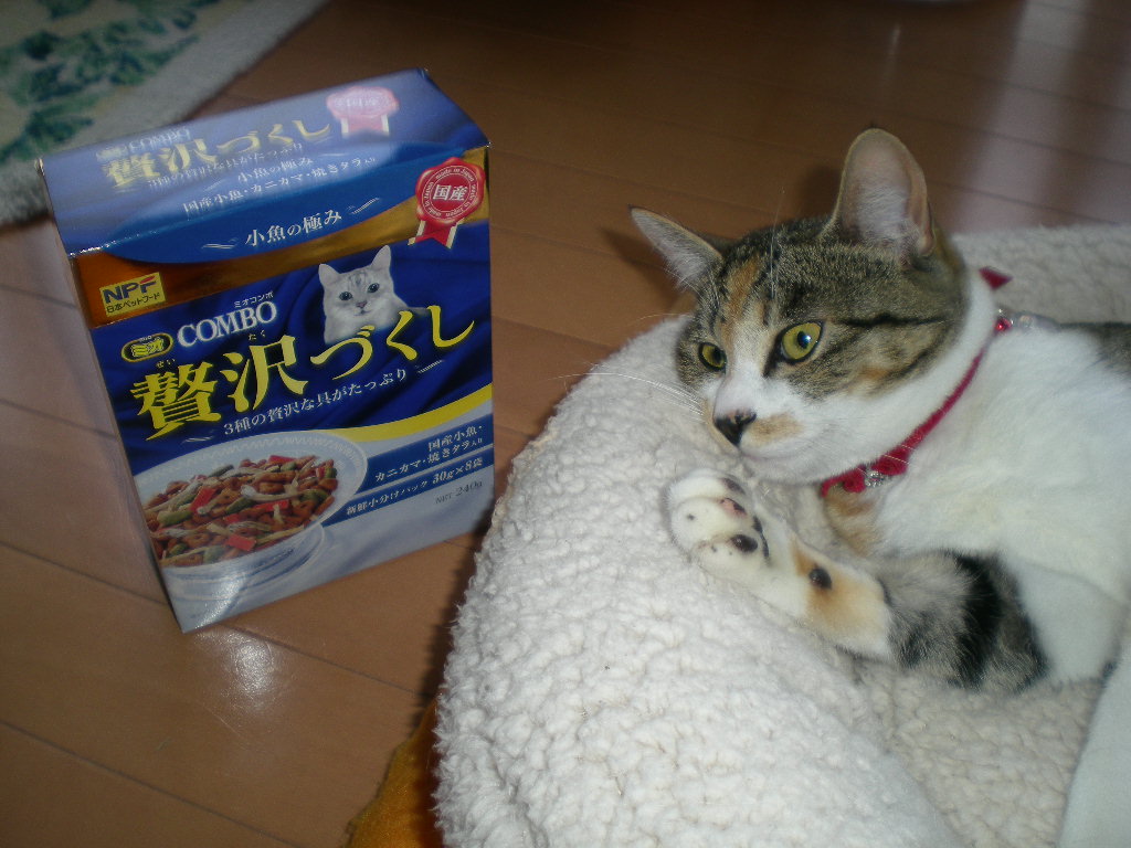 2009年3月21日(土)贅沢づくしのこころちゃん!_f0060461_20412114.jpg