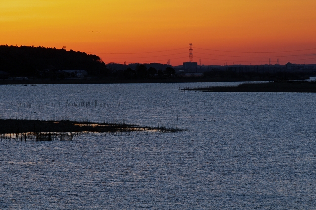 手賀大橋_f0018464_20424170.jpg