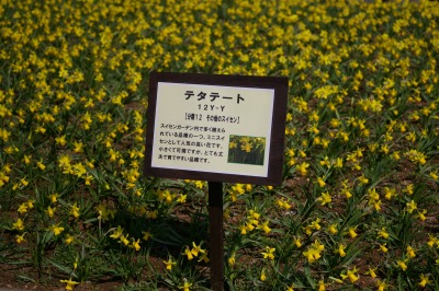 a0091865_2129220.jpg