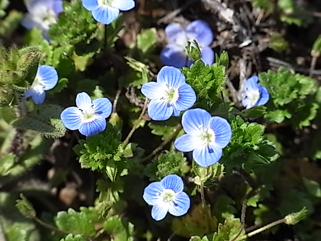 d0117565_2144682.jpg