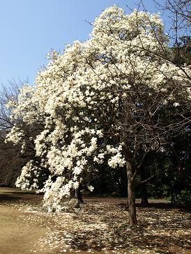 c0102268_18441288.jpg