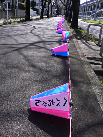 ３月２１日土曜日のお散歩、桜開花_e0112077_232353.jpg