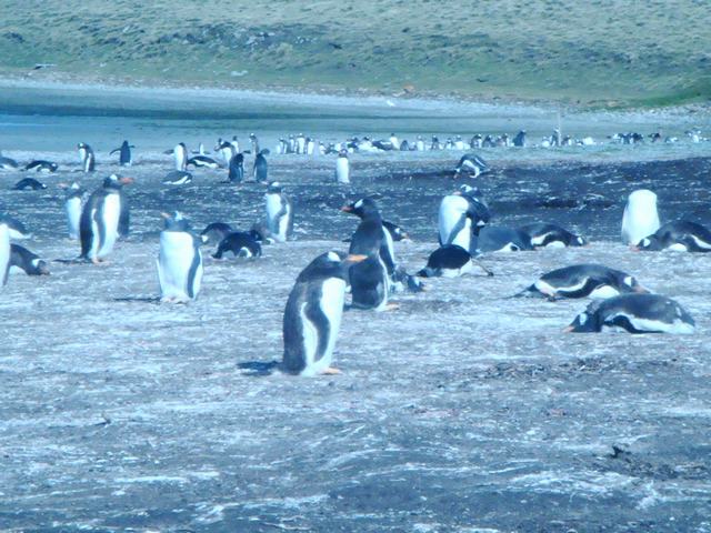 d0100880_22114116.jpg