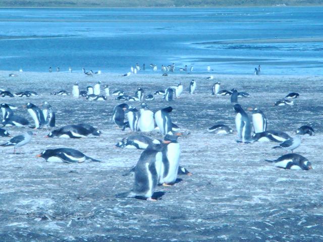 d0100880_22121583.jpg
