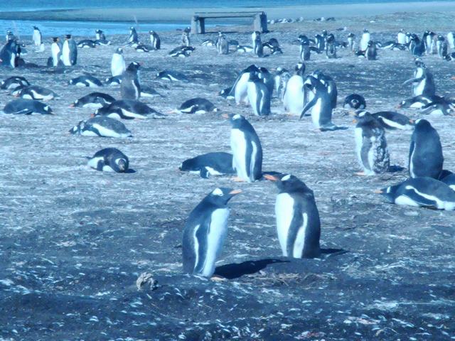 d0100880_22134435.jpg