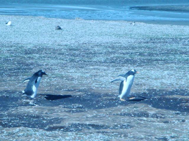 d0100880_22251543.jpg