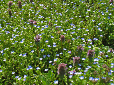 c0145581_13413363.jpg