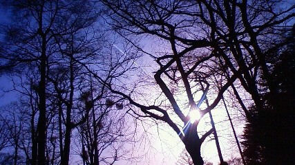 d0056881_0313399.jpg