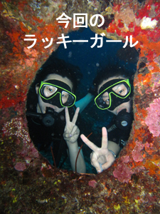 ジンベエ♪万歳 マンタ♪万歳_f0144385_3164788.jpg