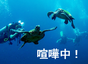 ジンベエ♪万歳 マンタ♪万歳_f0144385_3193555.jpg