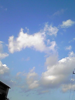 c0052091_1893546.jpg