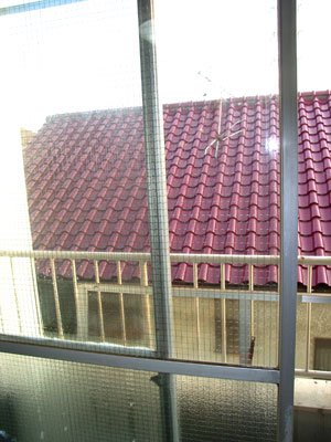 e0153994_1984487.jpg