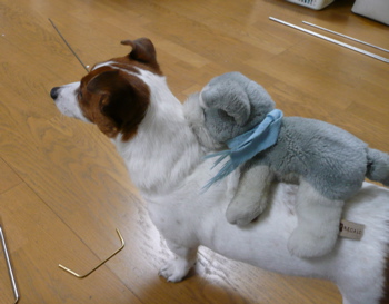f0146198_145822.jpg