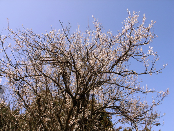 c0015099_23153336.jpg