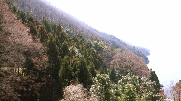 c0015099_23175764.jpg