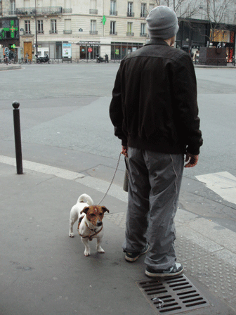c0129702_1313428.gif