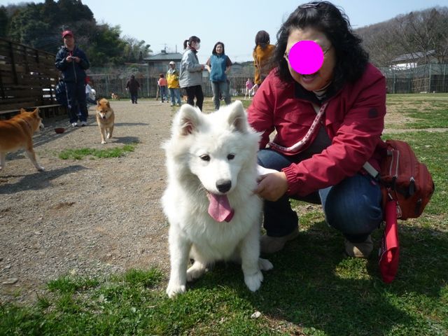 e0018604_14583627.jpg