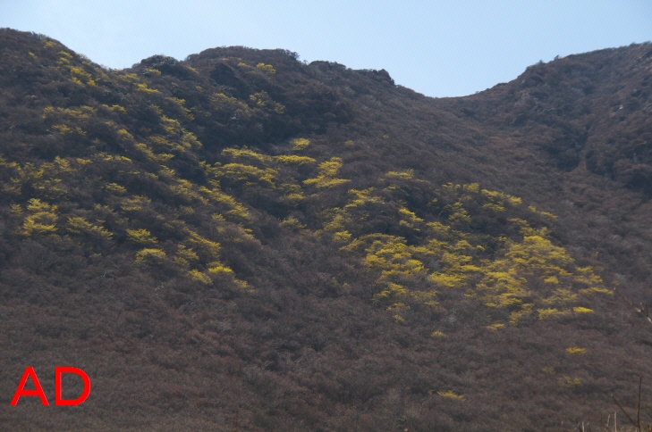 e0152806_2251216.jpg