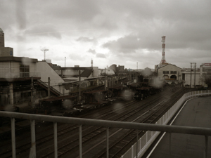 b0019611_2328481.jpg