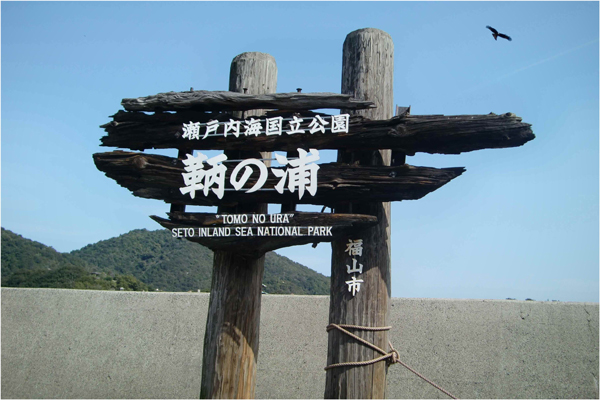 b0130112_857314.jpg