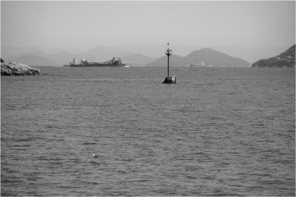 b0130112_857619.jpg