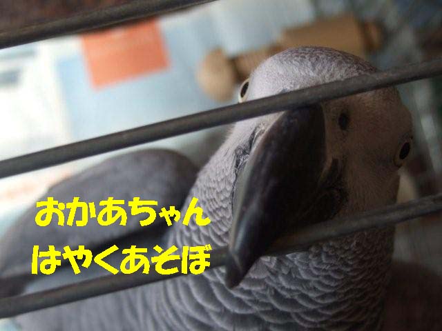 c0133013_848668.jpg